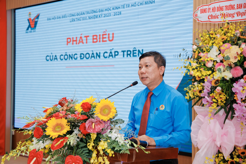 cá cược thể thao hul city